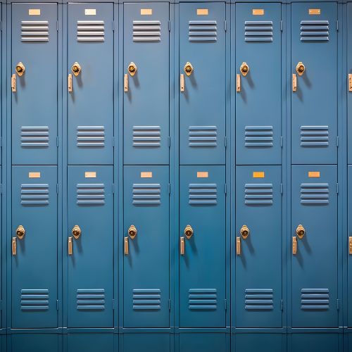 Safe Deposit Locker